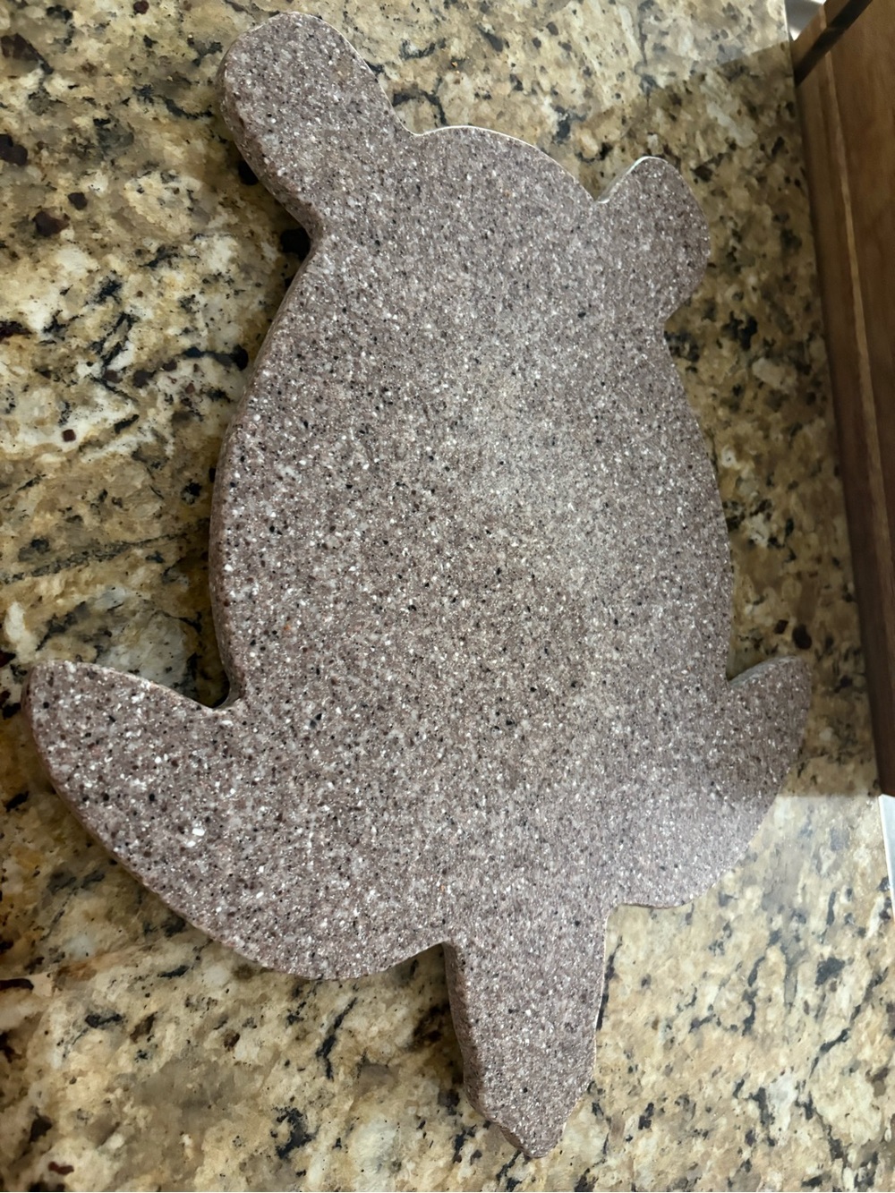 Sparkle Turtle-Shaped Serving Board in Rose Taupe